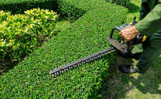 Landscape Maintenance