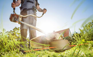 Lawn Care & Maintenance